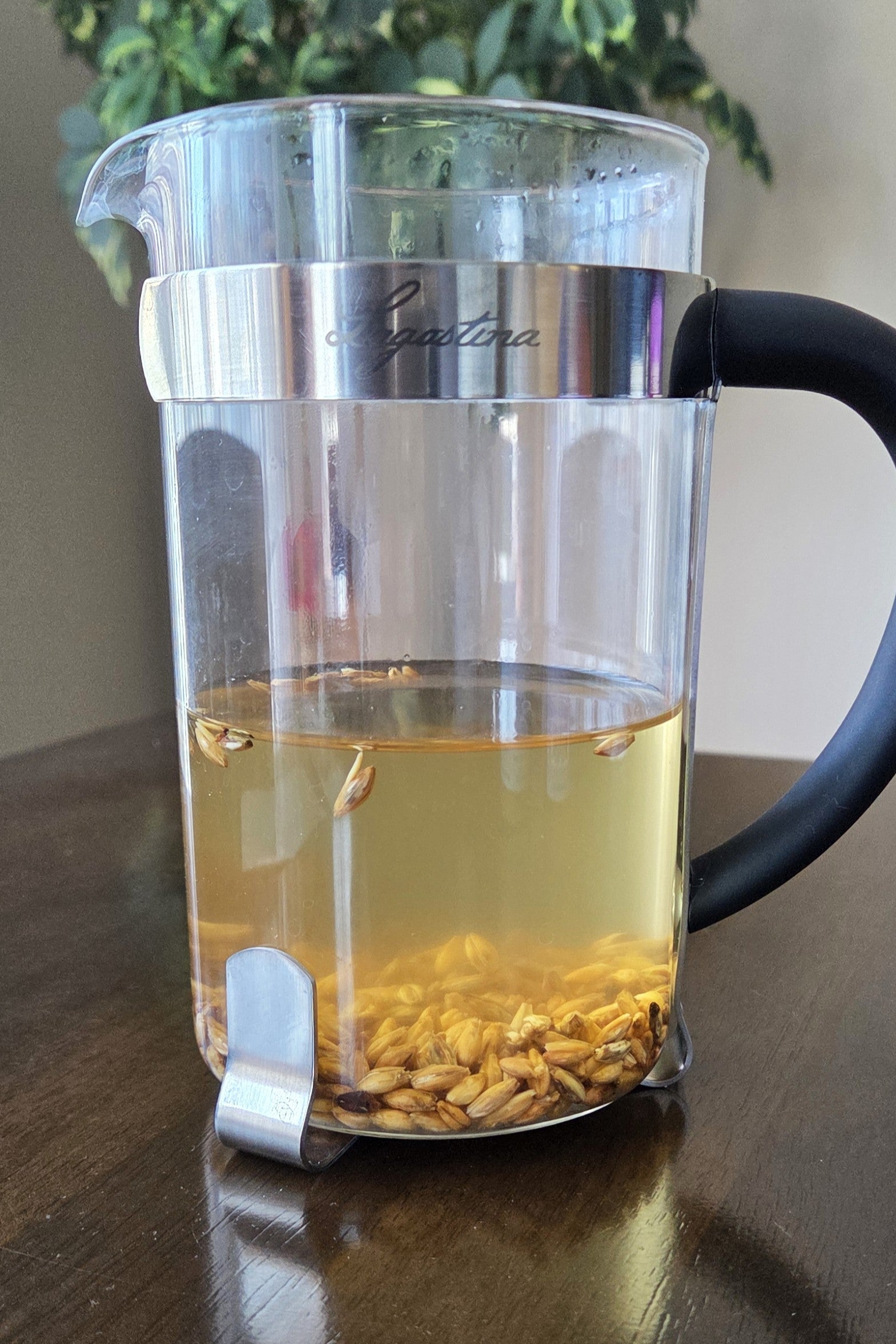 Barley Tea